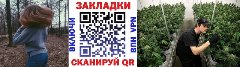 Купить закладку Мураши Cocaine ГАШИШ A PVP Псилоцибиновые грибы Бошки Шишки
