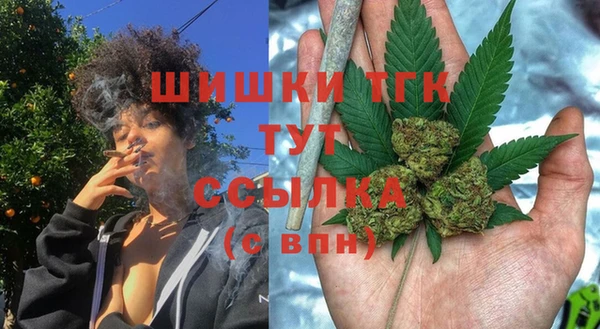 таблы Бородино